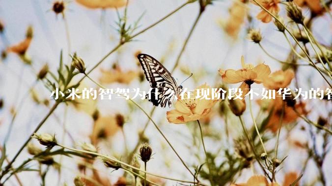 小米的智驾为什么在现阶段不如华为的智驾？